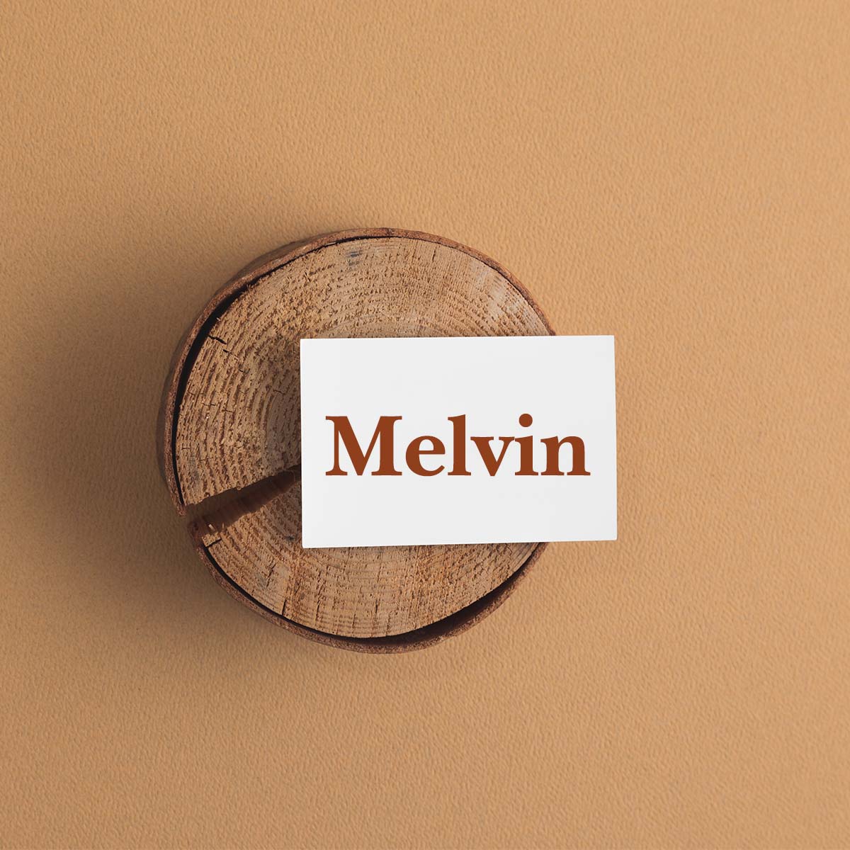 National Melvin Day